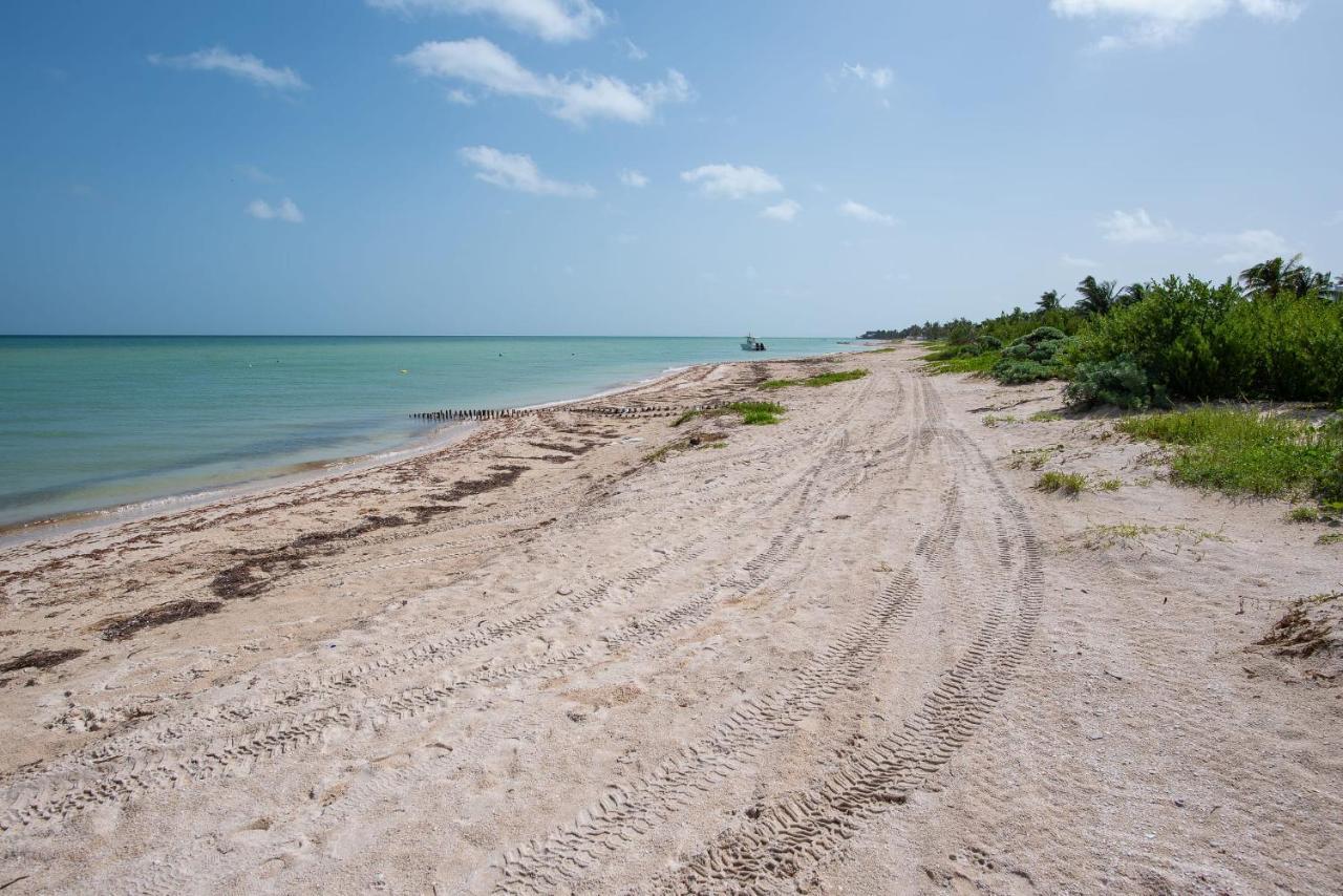 97982 New Modern Villa, Private Pool, High Internet Speed, 2 Blocks From The Beach Chicxulub Exterior photo