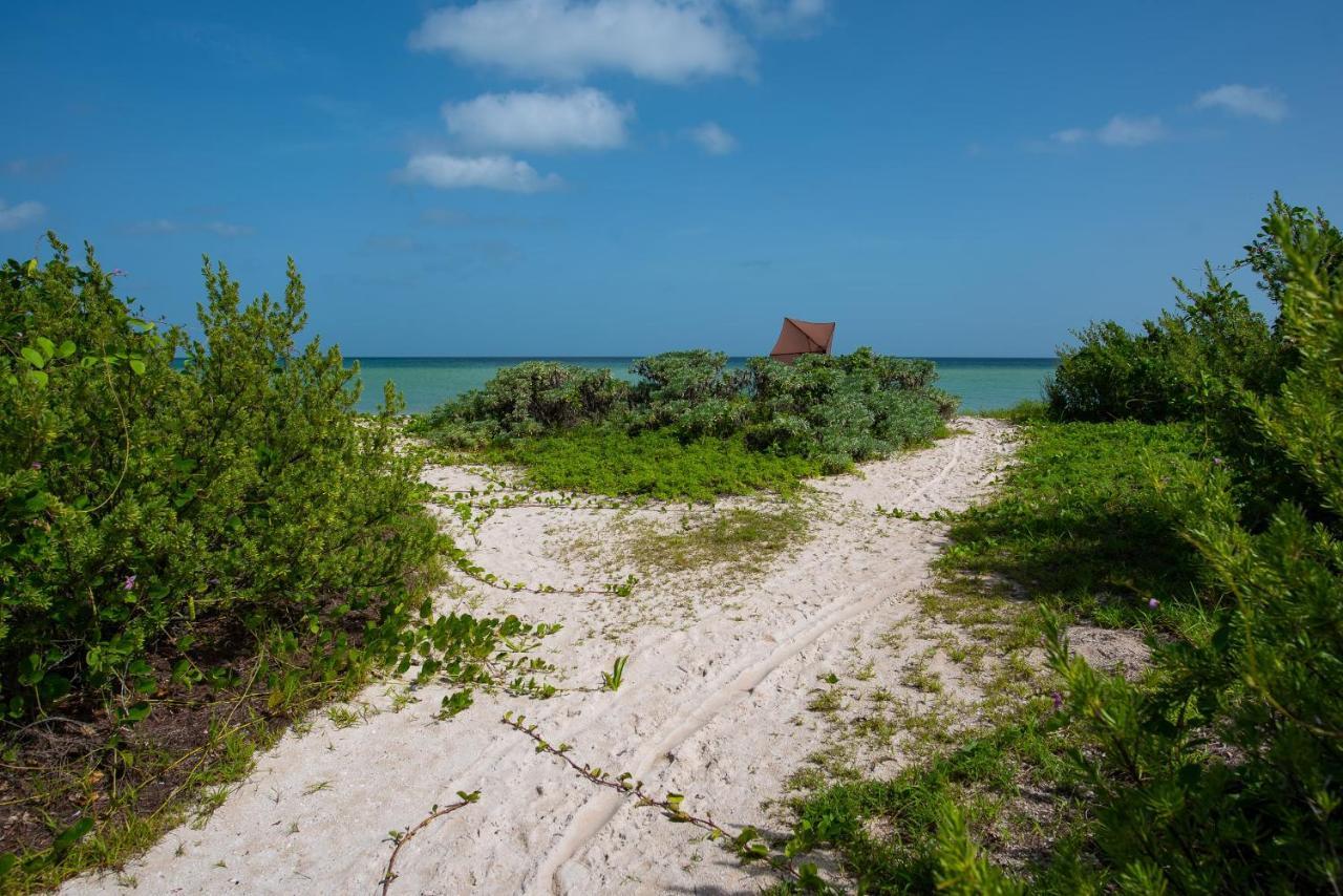 97982 New Modern Villa, Private Pool, High Internet Speed, 2 Blocks From The Beach Chicxulub Exterior photo